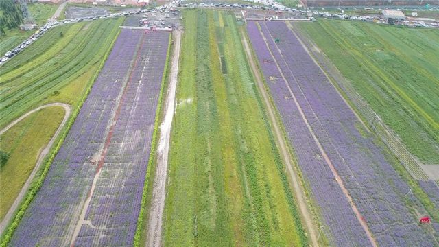 環美亞西行漫記自駕游